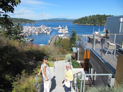 Friday Harbor Whale Watching