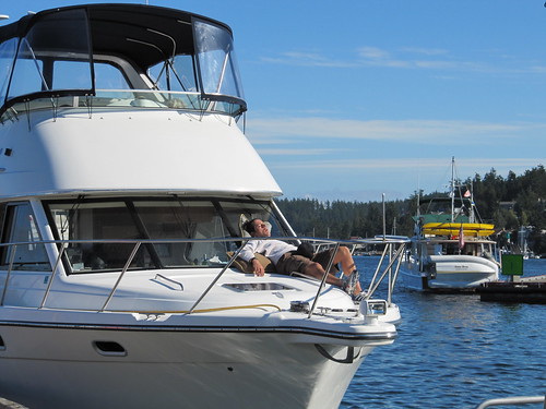 Friday Harbor Whale Watching