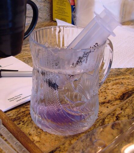 Thanksgiving Christmas MP Projects