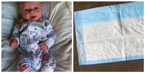 mosaicb5292fb3a8a20f4af1d89c25f0c8d7febd2340a0