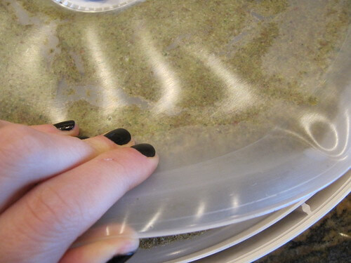 Raw Crackers Tutorial