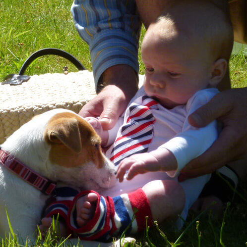Jamisen meeting a dog