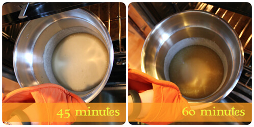 Gel Phase Progression