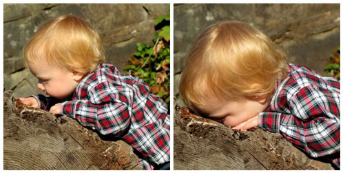 Curiosity Mosaic Curiosity Mosaic