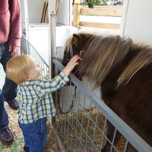 Jamisen's New Friend